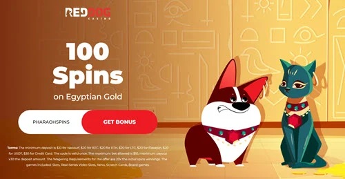 Red Dog Casino: 100 Free Spins for New Players