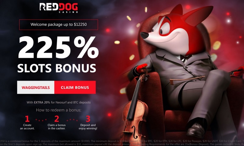 Red Dog Casino - Australia's Best Online Casino with No Deposit Bonus, Free Chips & More